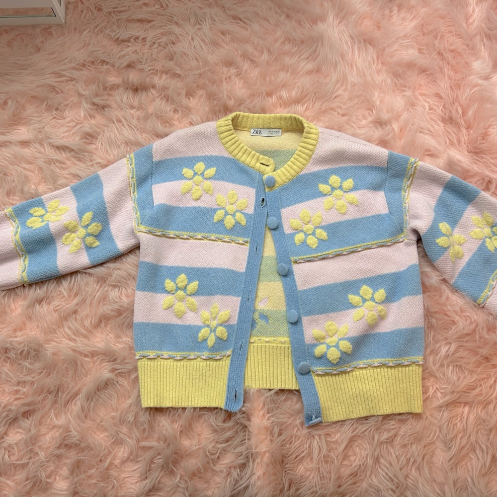 Pastel Zara Cardigan Sweater
